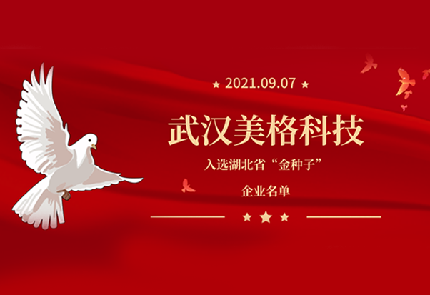 武汉美格科技入选湖北省“金种子”企业名单